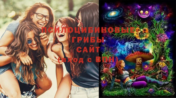 первитин Лабытнанги