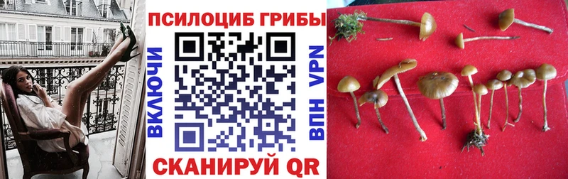 Галлюциногенные грибы MAGIC MUSHROOMS  Кяхта 